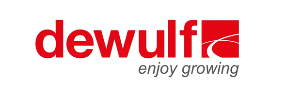 De Wulf